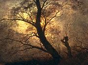 Trees in the moonlight